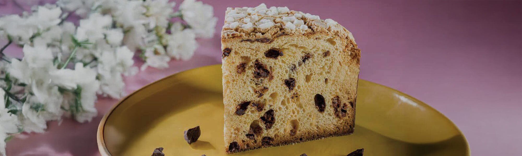 colombe-al-cioccolato